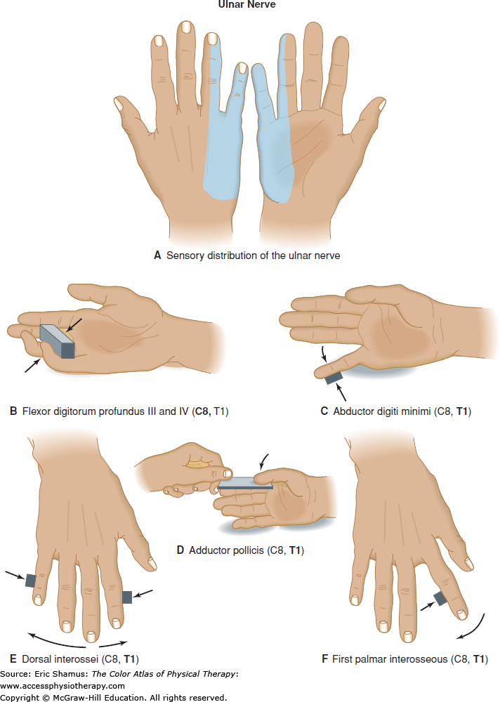 A PRACTICAL ELECTROPHYSIOLOGICAL GUIDE FOR NON-SURGICAL