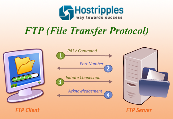 What is File Transfer Protocol (FTP)?