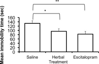 S1. Chronic Mild Stress Protocol Related to Figure 1