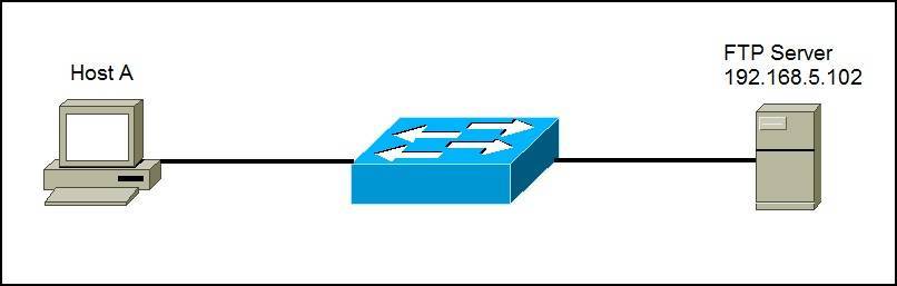 What is FTP Protocol in Networking? SYSNETTECH Solutions