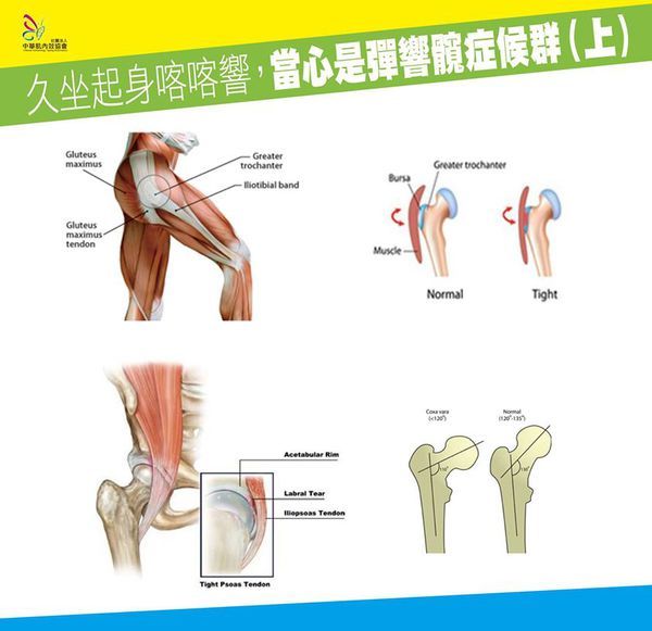 BMC Musculoskeletal Disorders Orthopedics and biomechanics