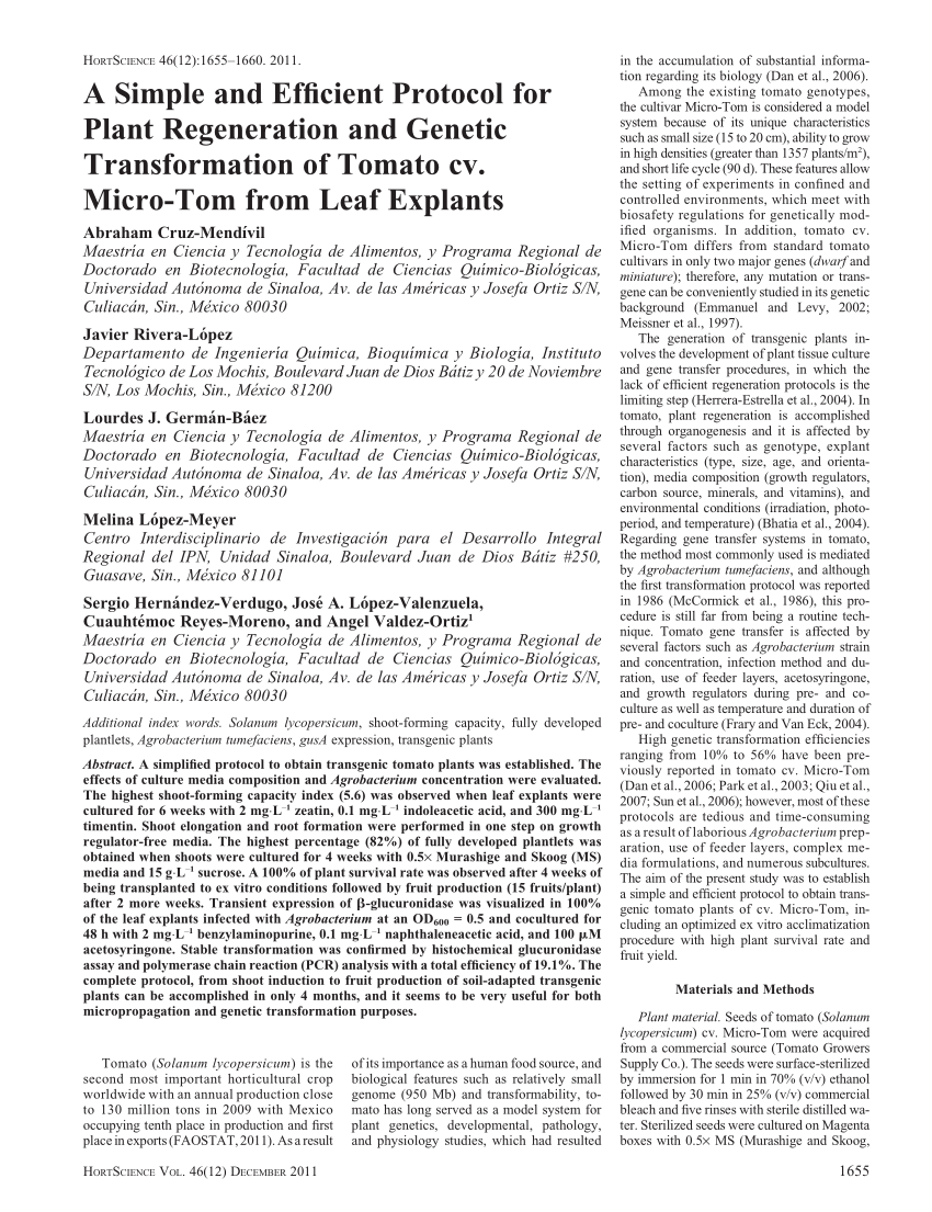 The transport layer TCP and UDP CSUDH