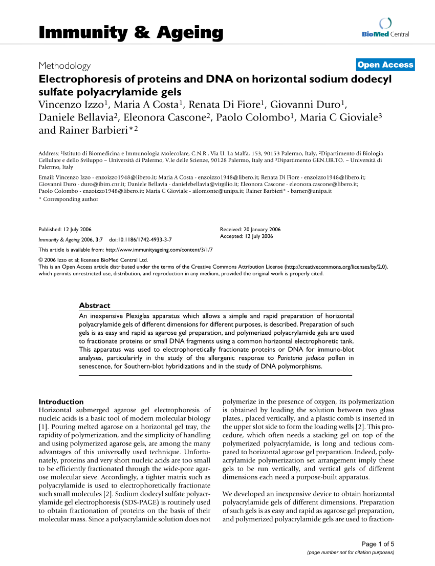 Electrophoresis Mobility Shift Assay —BIO-PROTOCOL