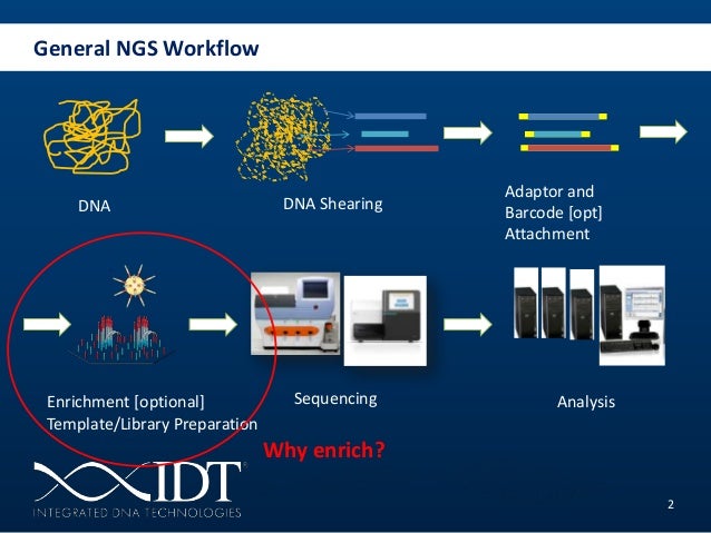 Next generation sequencing University of Ljubljana