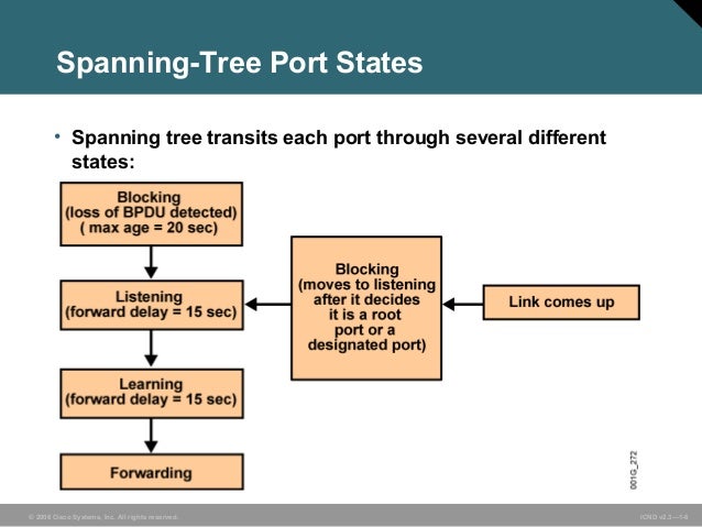 Spanning Tree Protocol Timers DePaul University