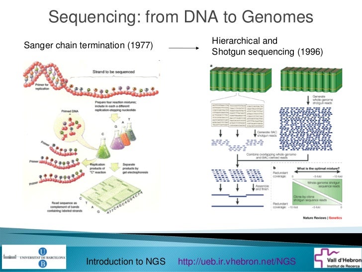 Next-Generation DNA Sequencing Methods Annual Review of