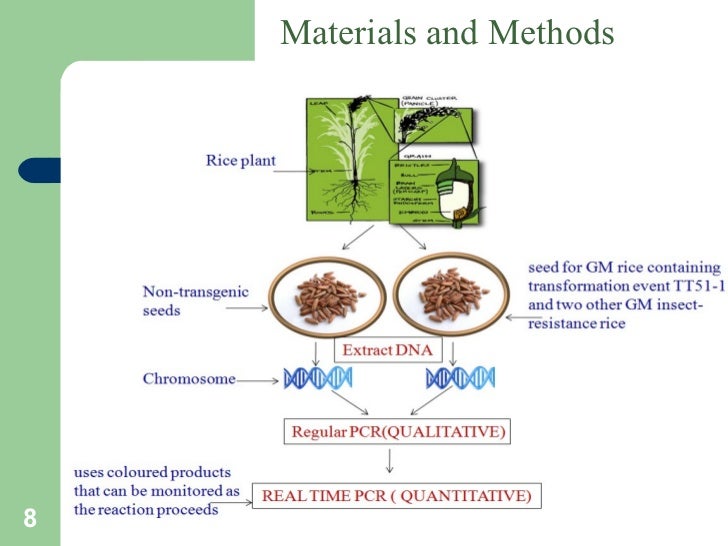 Real-time PCR Tutorial University - pathmicro.med.sc.edu