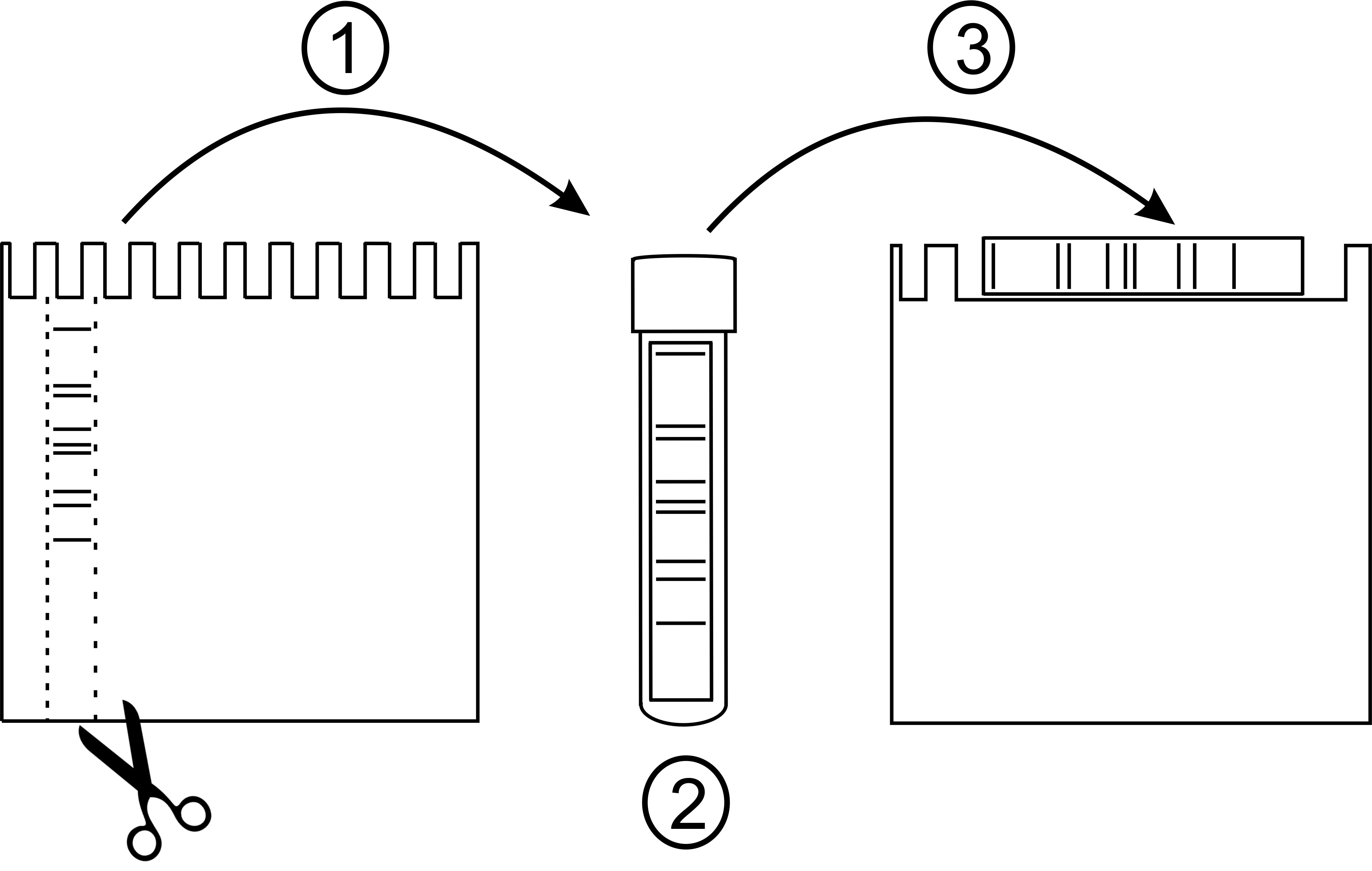 Protein Electrophoresis SpringerLink