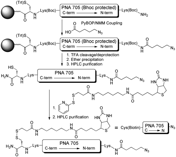 Procedures for Use of Symphony Peptide Synthesizer