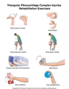 Scapular fractures (including glenoid) Musculoskeletal