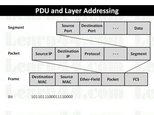 What Is a Protocol Data Unit? (with picture) wisegeek.com