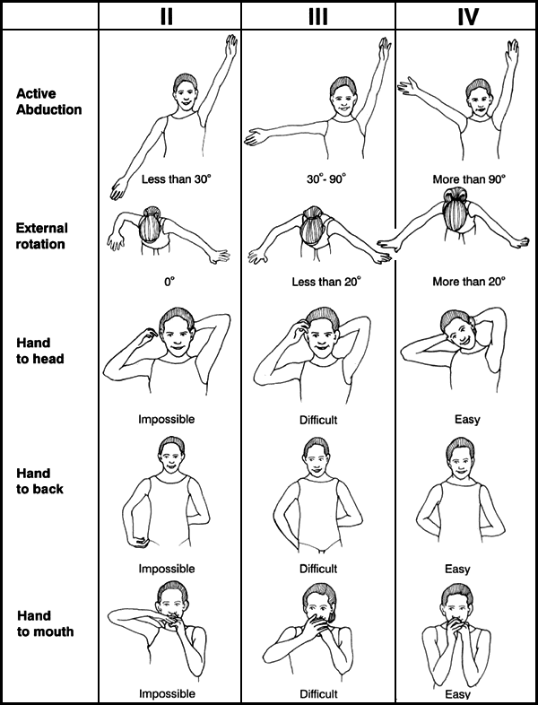 Shoulder Pain Rehabilitation Protocol Rotator Cuff