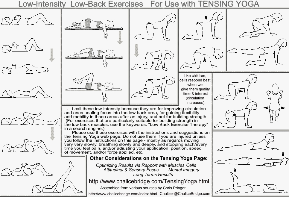 Postoperative Rehabilitation Protocols OrthoNC