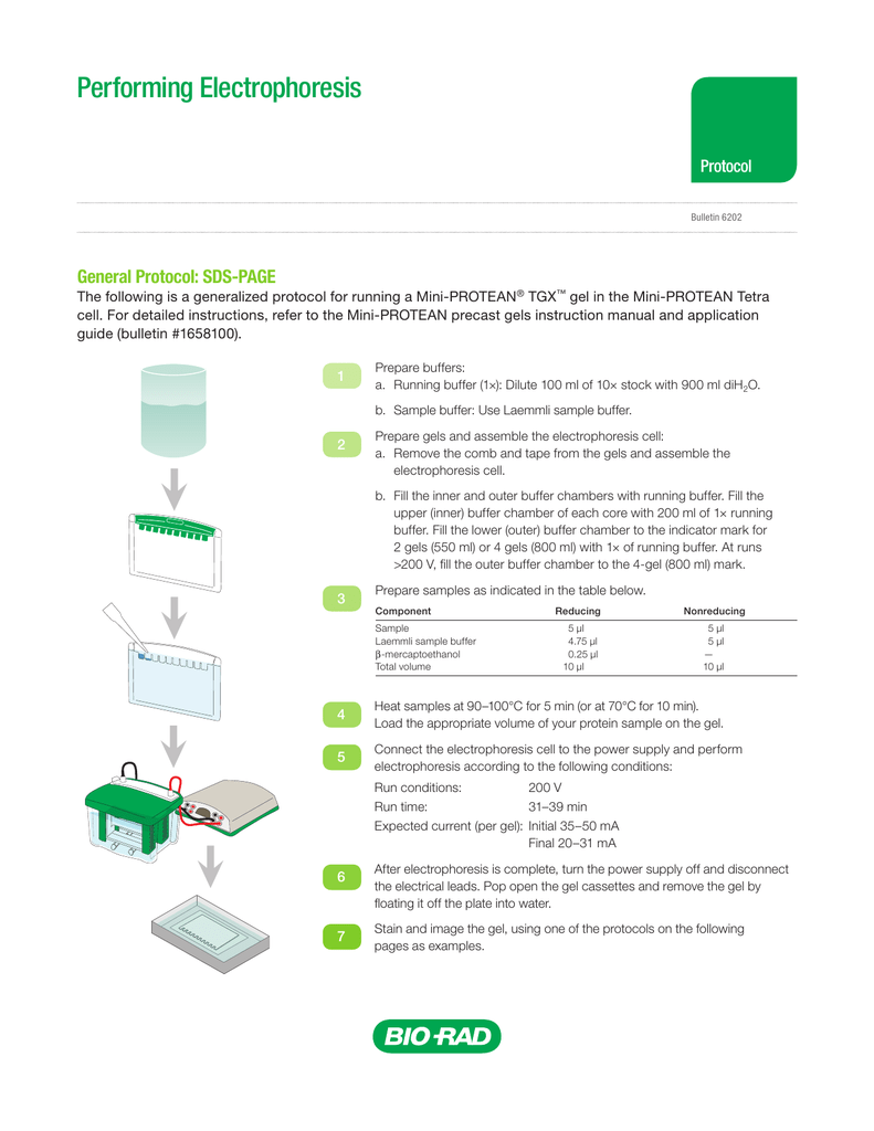 Protein separation and sample preparation for mass