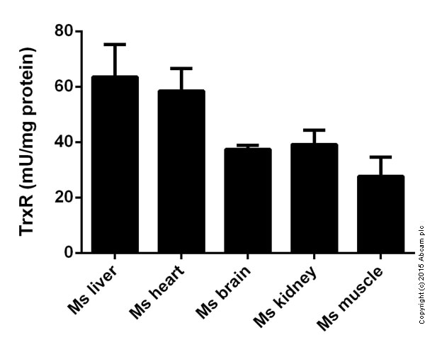 Glutathione Reductase Assay Kit Trevigen