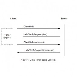 The Design and Implementation of Datagram TLS