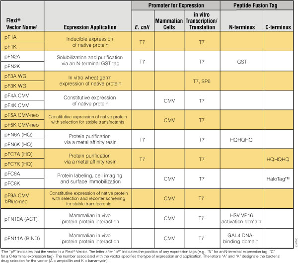 Development and Application of Camelid Molecular