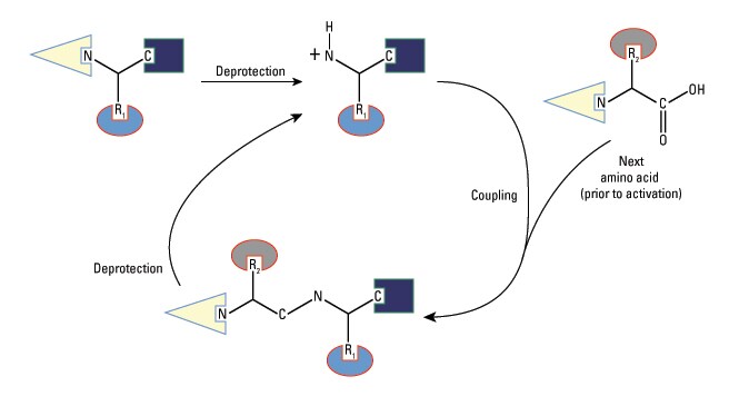 Organic & Biomolecular Chemistry