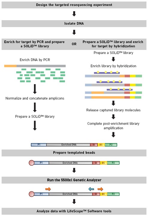 Next-generation DNA sequencing FBAE